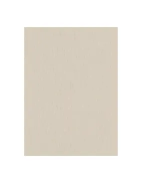 5872 - Vinyle Plat sur Papier Uni Taupe - DECORAMA - 5872