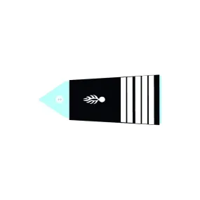 Fourreaux rigides CTA - Colonel (H)