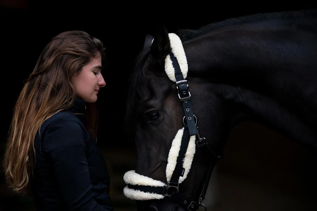 Licol équitation en mouton synthétique Cheval - noir et
