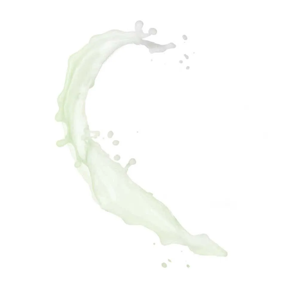 PÂTE GRISE - Lotion Biphasée Poudrée Matifiante - Visage - Peaux Mixtes à Grasses, 125ml | Payot  - Parapharmacie Boticinal